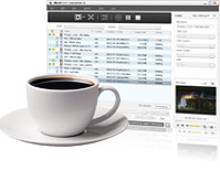 FLV to MPEG converter