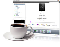 iPad manager, iPad transfer
