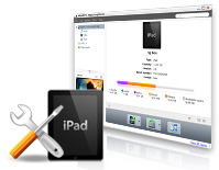 iPad übertragen