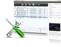 MKV in AVI Converter
